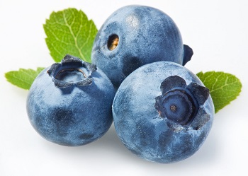 blueberry-02.jpg